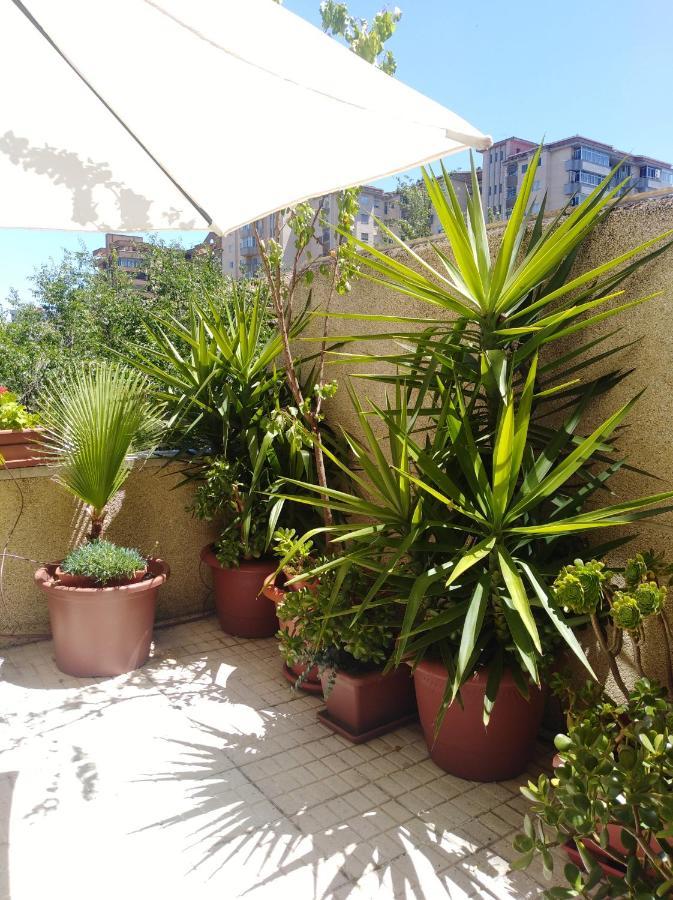 Apartamento Turistico Principe Caceres At-Cc-00415 Caces Exterior foto